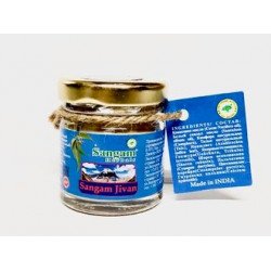 Sangam Herbals. Мазь Сангам Дживан, 35 мл