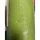 Коврик для йоги Yogastuff Rishikesh 183x60х0.45 см, темно-зеленый УЦЕНКА (мелкий дефект поверхности)